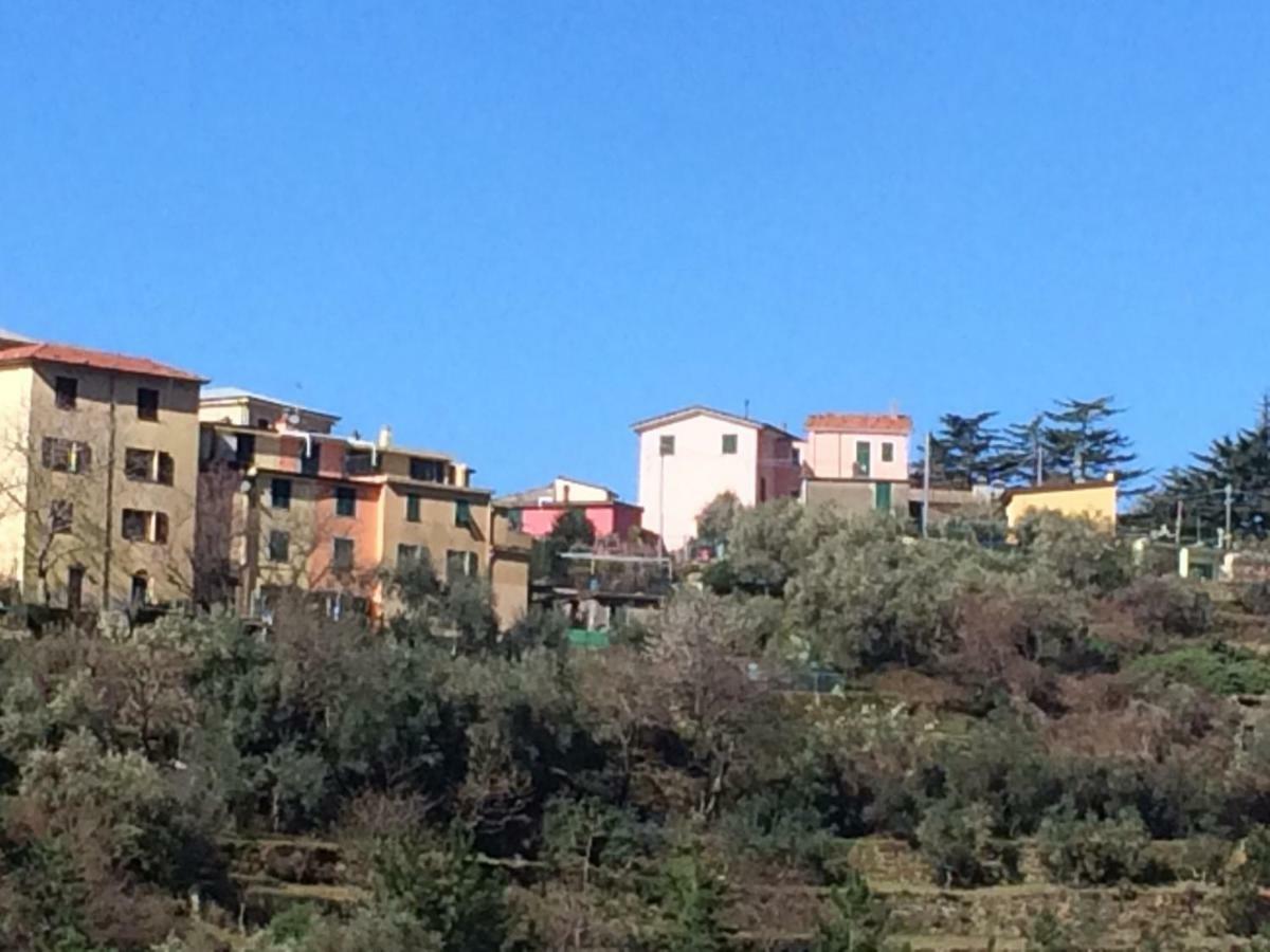 Appartamento Vacanze "Borgo Cinque Terre" Volastra Manarola Exterior photo